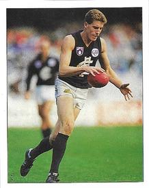 1994 Select AFL Stickers #48 Michael Sexton Front